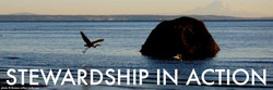 Stewardship Stewardship