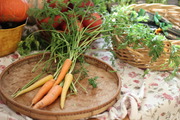 carrots carrots