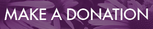 donatepurple donatepurple